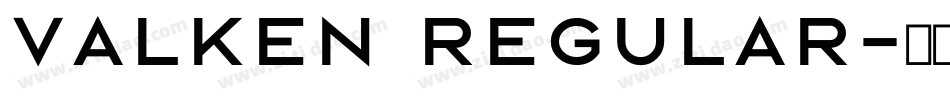 Valken Regular字体转换